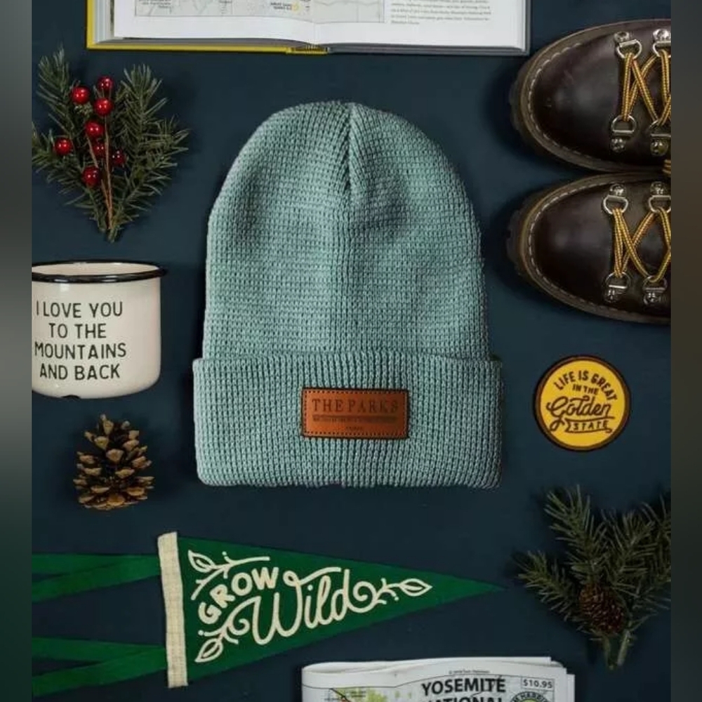 Wondery “The Parks” Beanie, Sea Glass, One Size